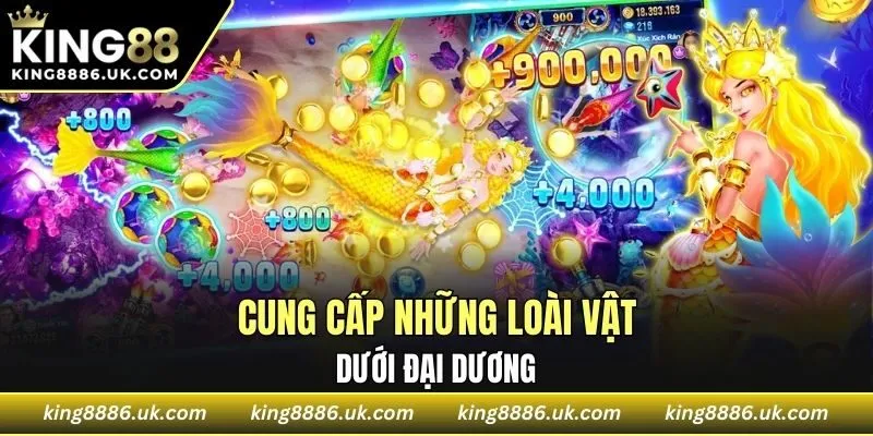 Cung cấp những loài vật dưới đại dương