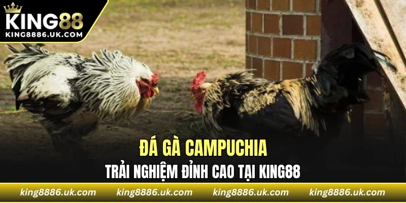 Đá Gà Campuchia