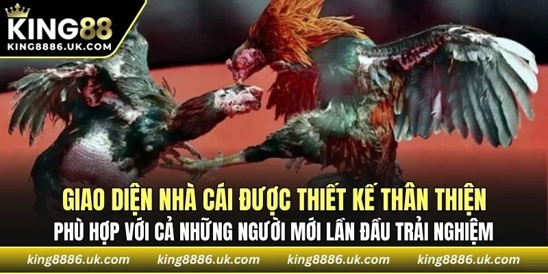 Giao diện nhà cái thiết kế thân thiện