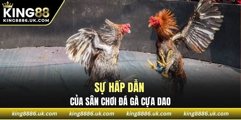 Hội viên được chứng kiến nhiều màn so tài đầy kịch tính