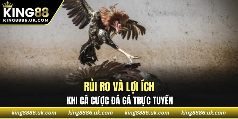 Rủi ro và lợi ích khi cá cược đá gà trực tuyến
