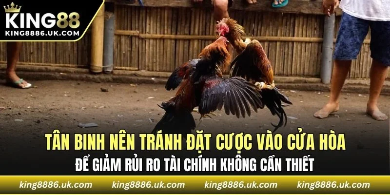 Tân binh nên tránh đặt cược vào cửa hòa