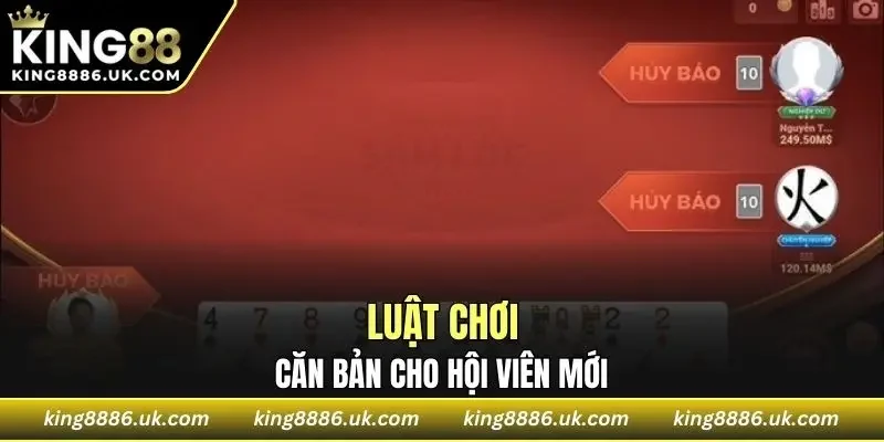 Tóm tắt luật căn bản cho hội viên mới