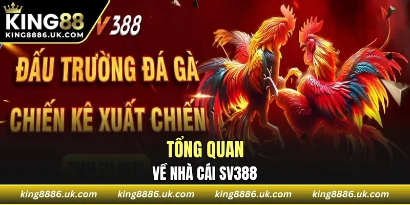 Tổng quan về nhà cái SV388