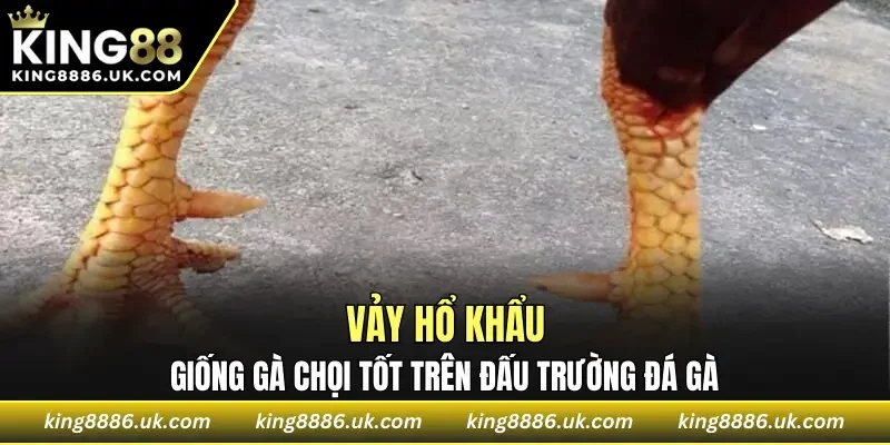 Vảy Hổ Khẩu