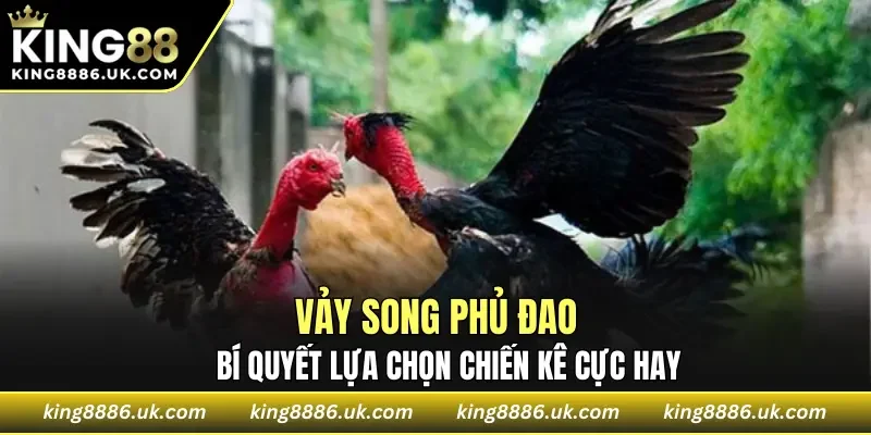 Vảy Song Phủ Đao
